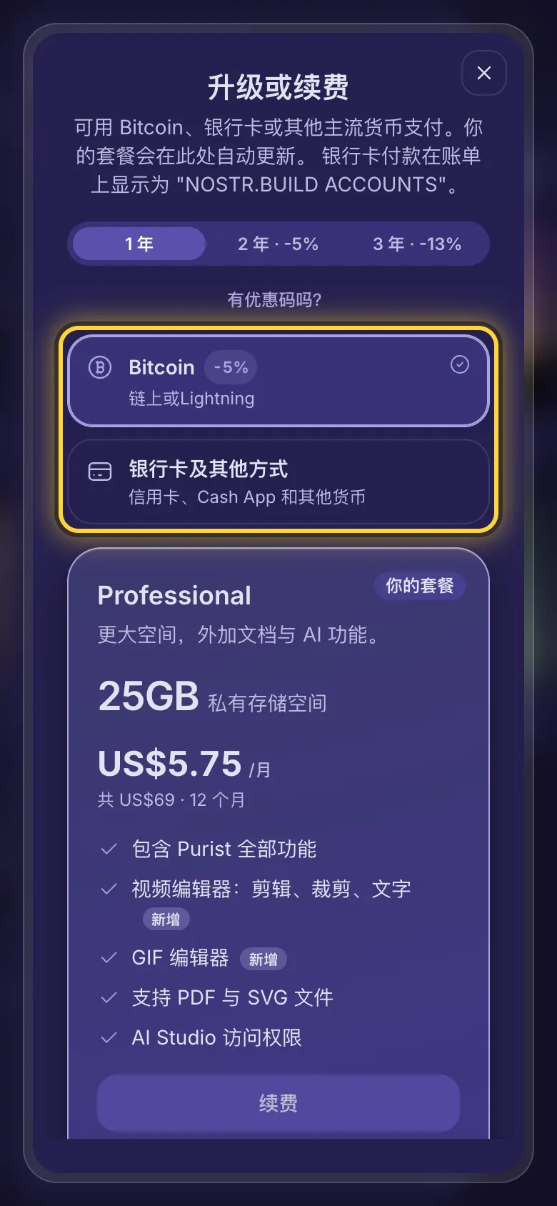 付款方式选择：Bitcoin，或银行卡及其他方式。